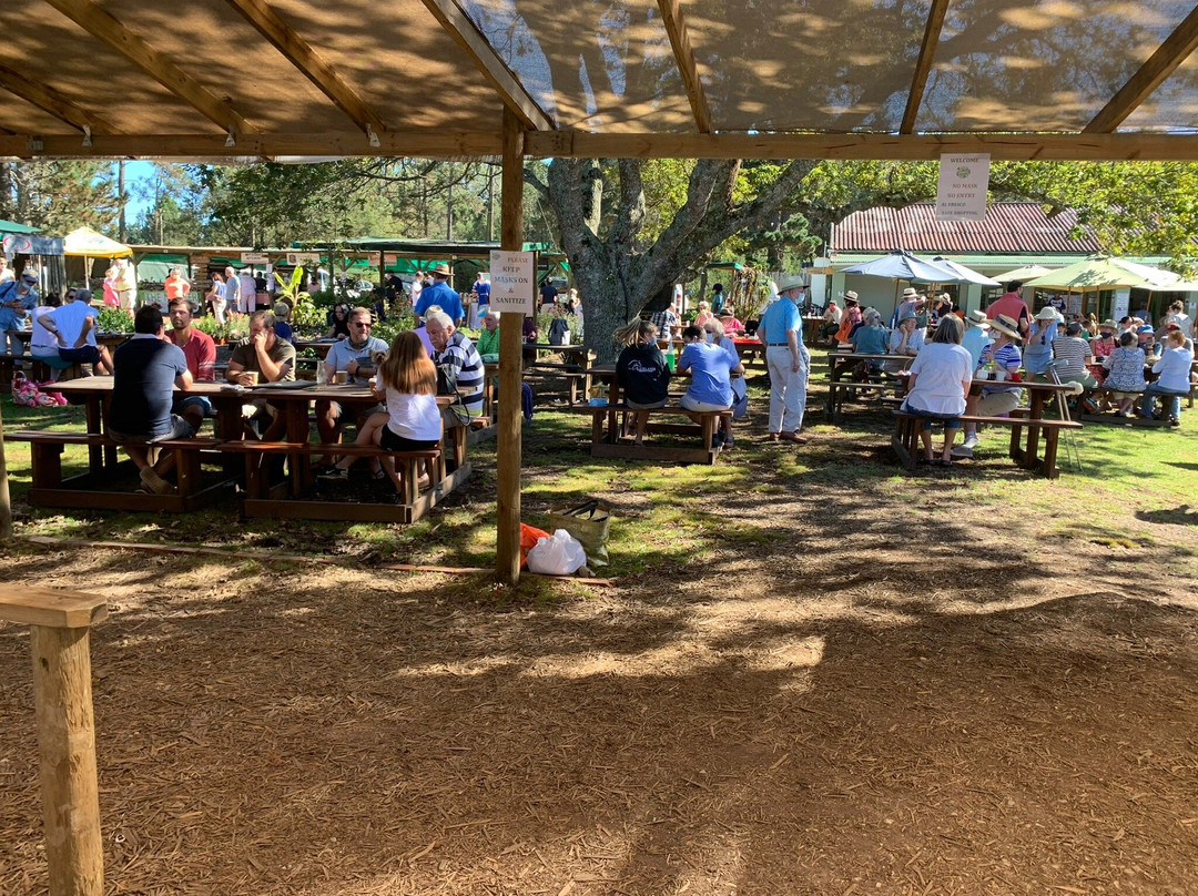 Harkerville Saturday Village Market-普利登堡湾必去景点