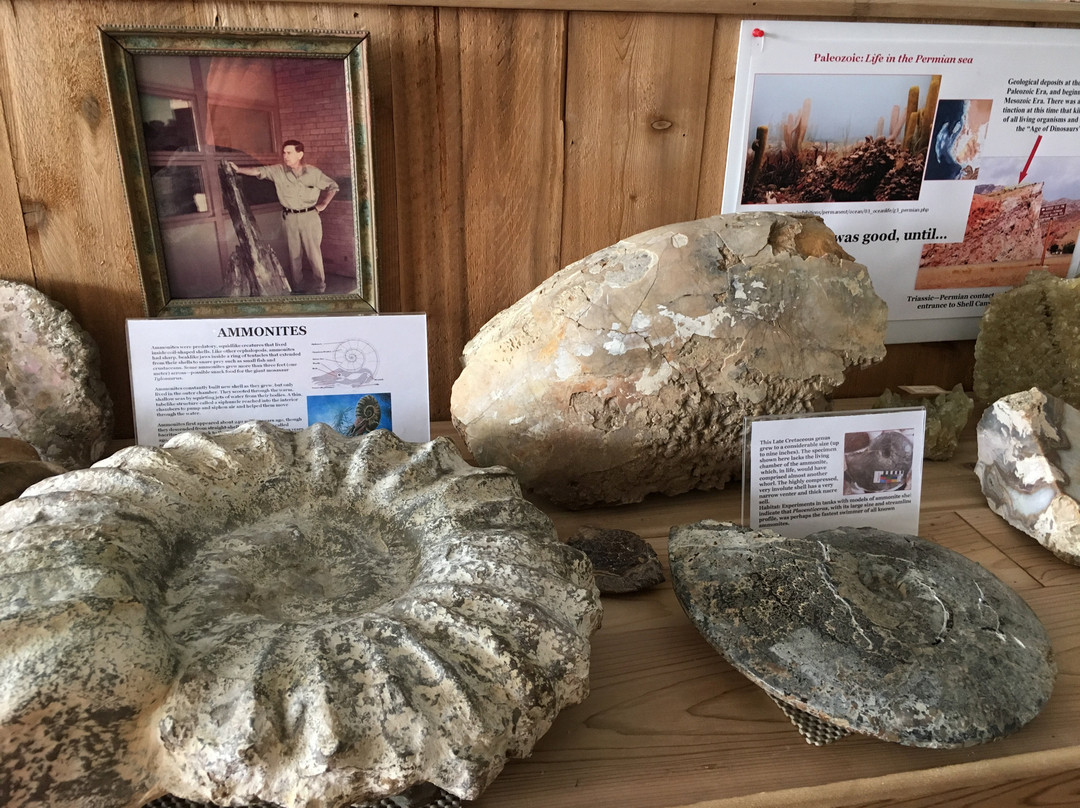 Big Horn Basin GeoScience Center景点图片