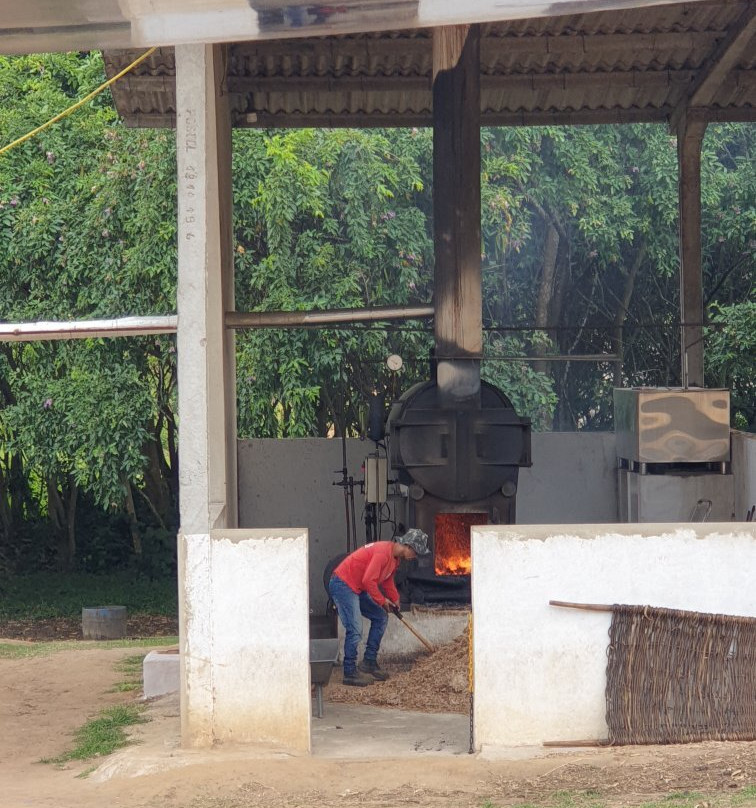 Engenho Goiamunduba-Bananeiras必去景点