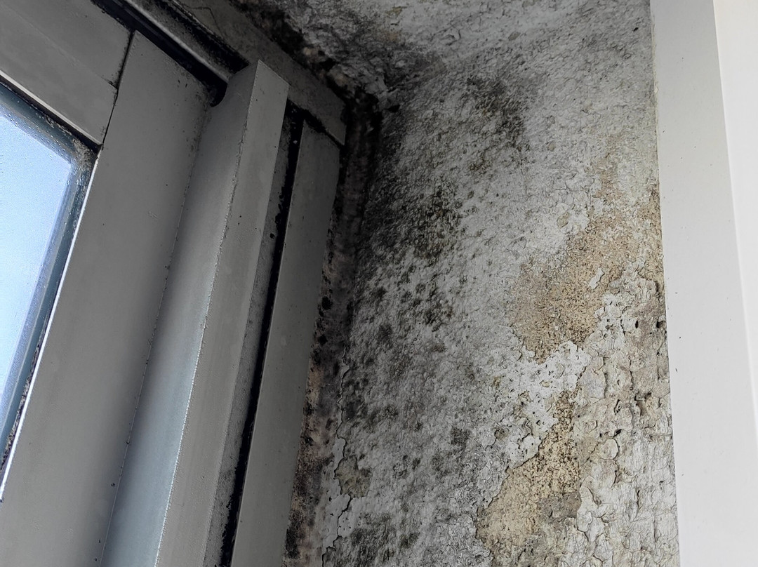 Hotel Le Berry主图