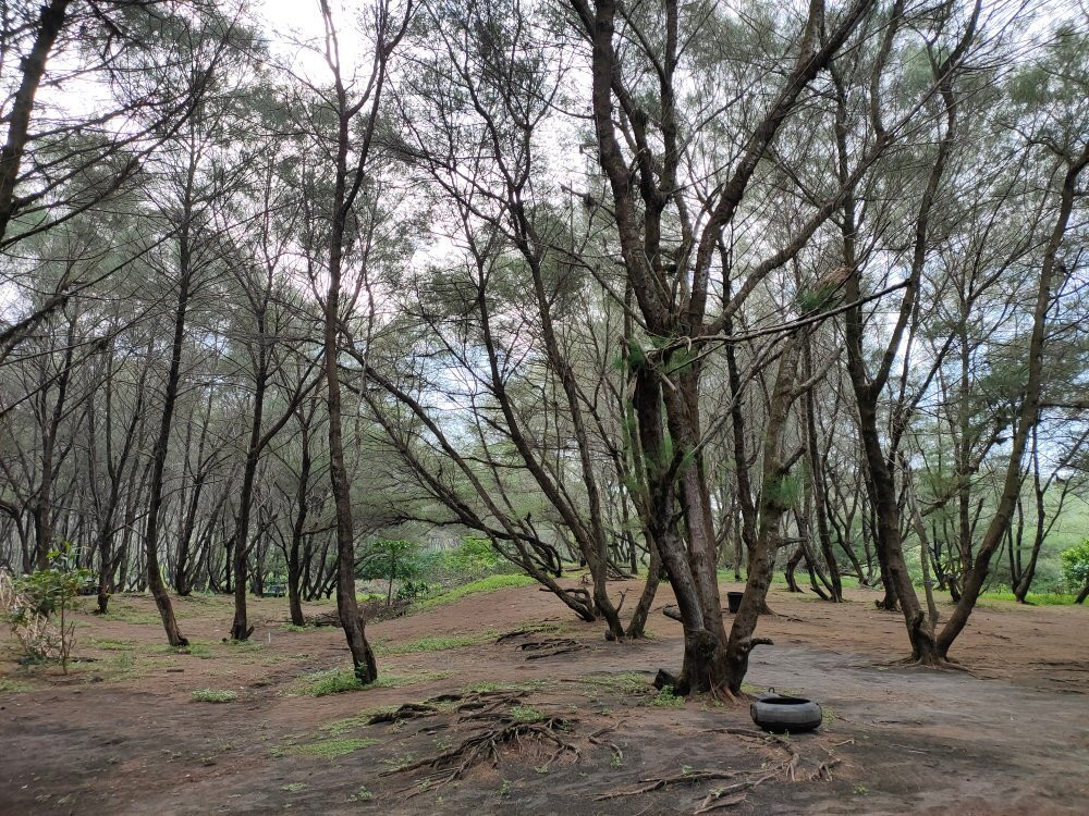 Goa Cemara Beach景点图片