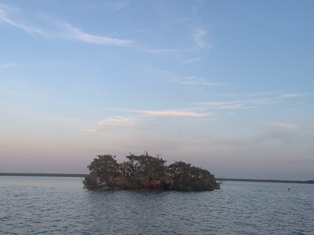 Everglades Boat Tours景点图片