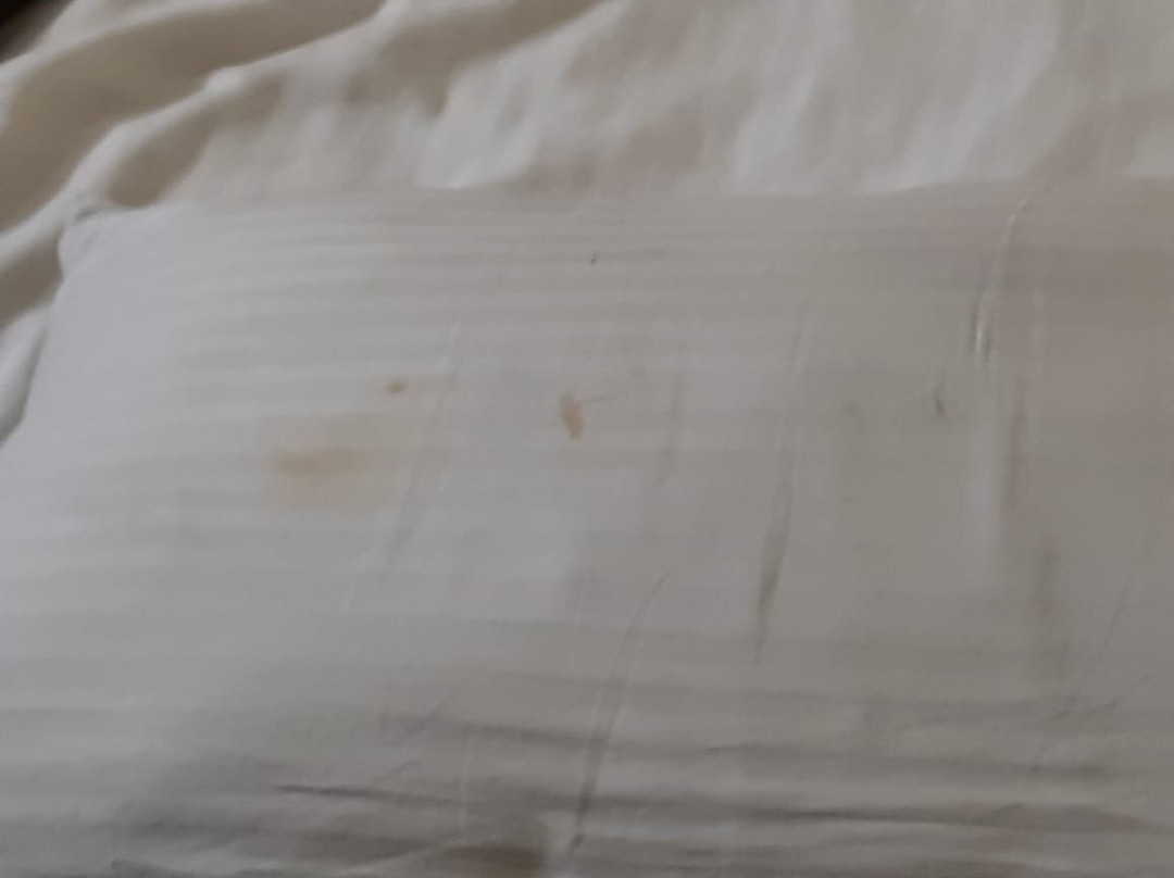 Rio Grand Hotel主图