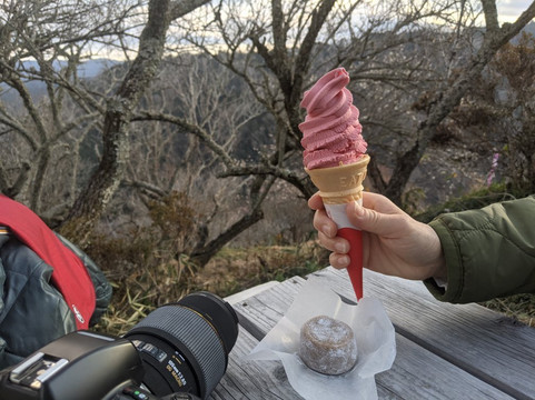 Tsukigase Plum Valley-奈良市必去景点