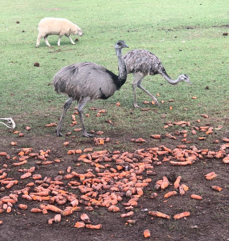 Zoo de Batan-Batan必去景点