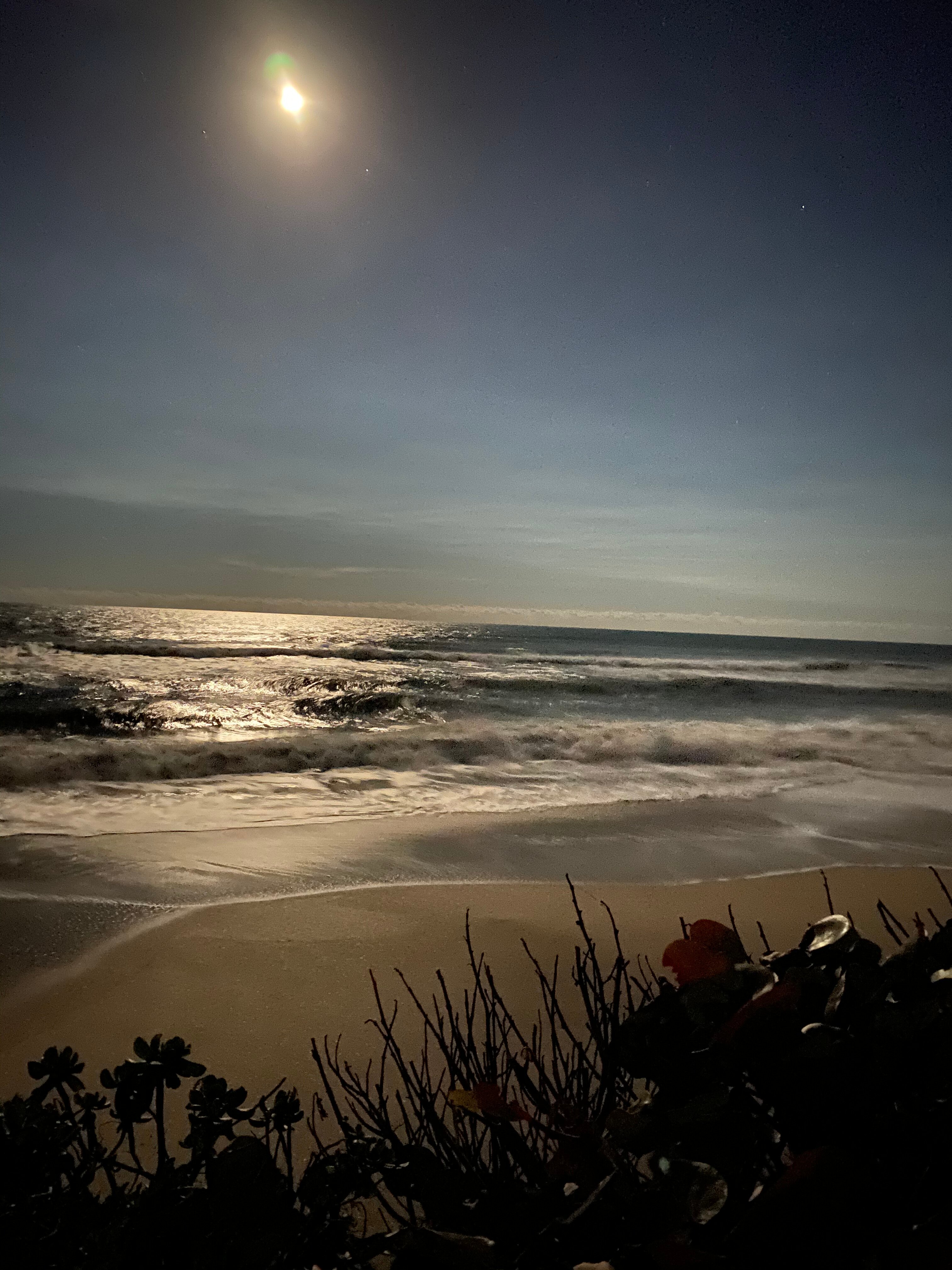 Sea View Inn-官方