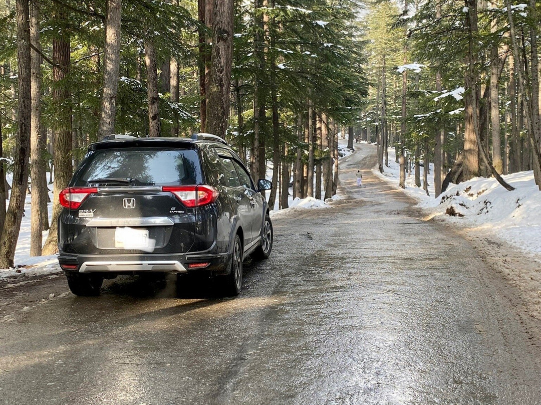 Kalam Forest-Kalam必去景点