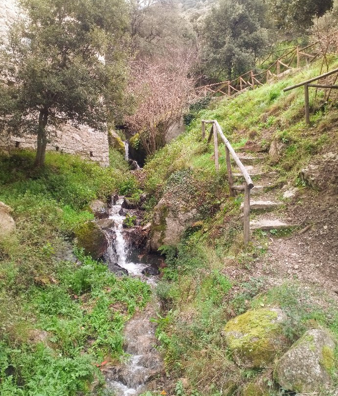 Mulino