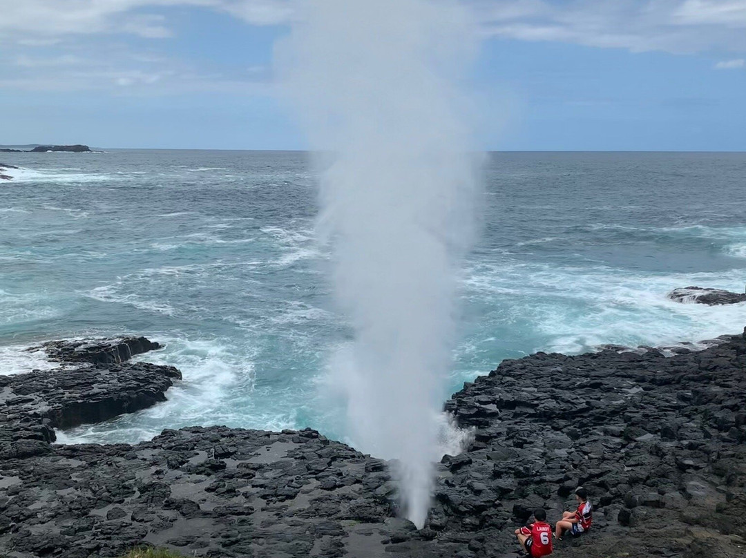 Little Blowhole Reserve “Endeavour Lookout”景点图片