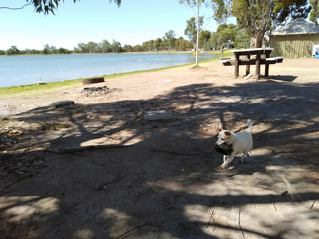 Tchum Lake-Birchip必去景点