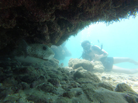 Ganesh Mergulhos-嘎林海斯港必去景点