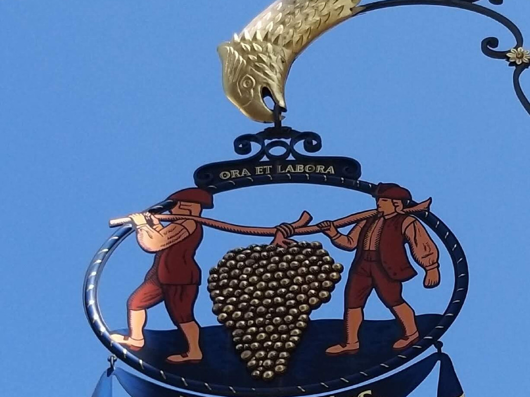 WineWeinVinoVin-巴塞尔必去景点