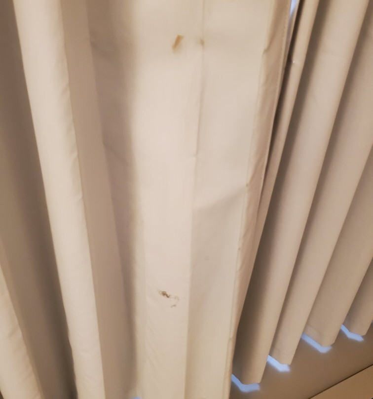 Holiday Inn St Louis Sw - Route 66 By IHG主图