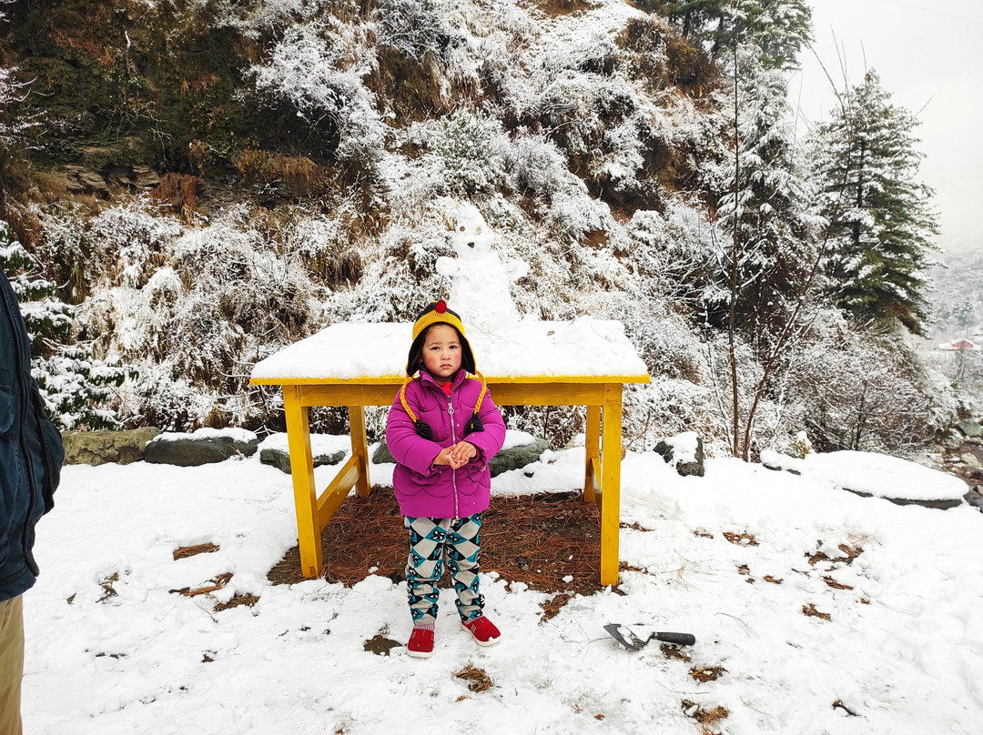 Jibhi Homestead主图