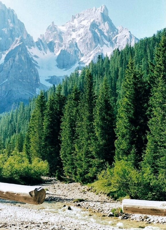 Parco Naturale Paneveggio Pale di San Martino景点图片