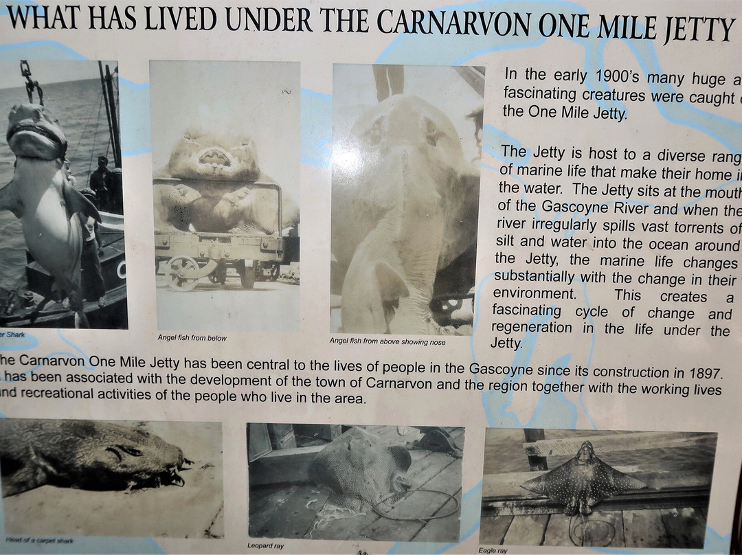 One Mile Jetty-卡那封必去景点