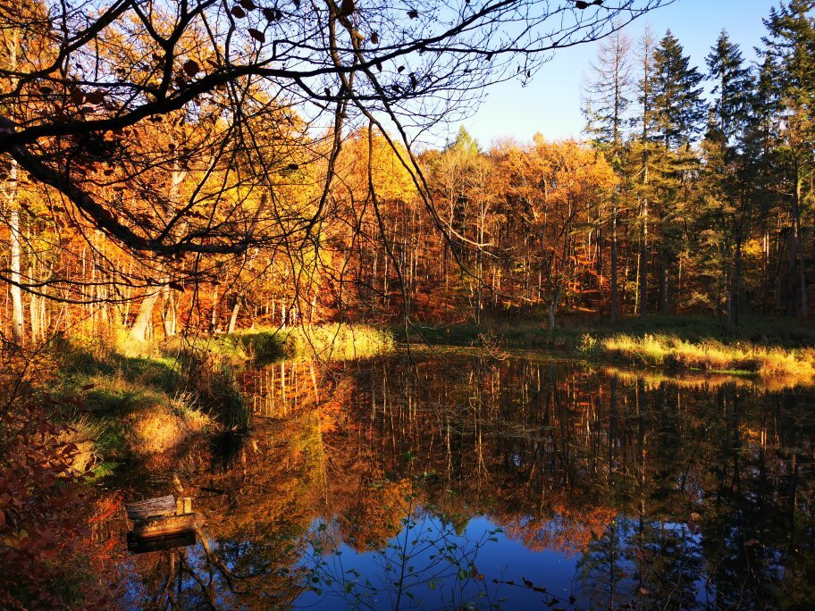 Schloss Rauischholzhausen-Rauischholzhausen必去景点