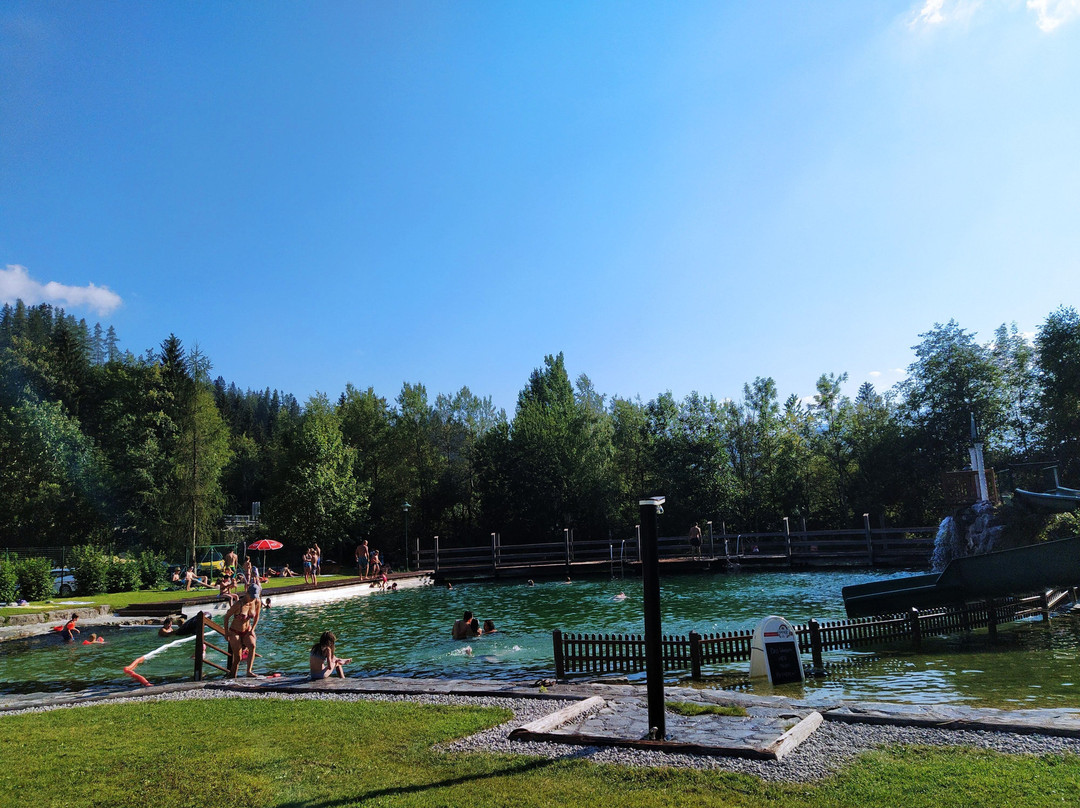 Naturbad & Wasserpark Russbach-Russbach am Pass Gschutt必去景点