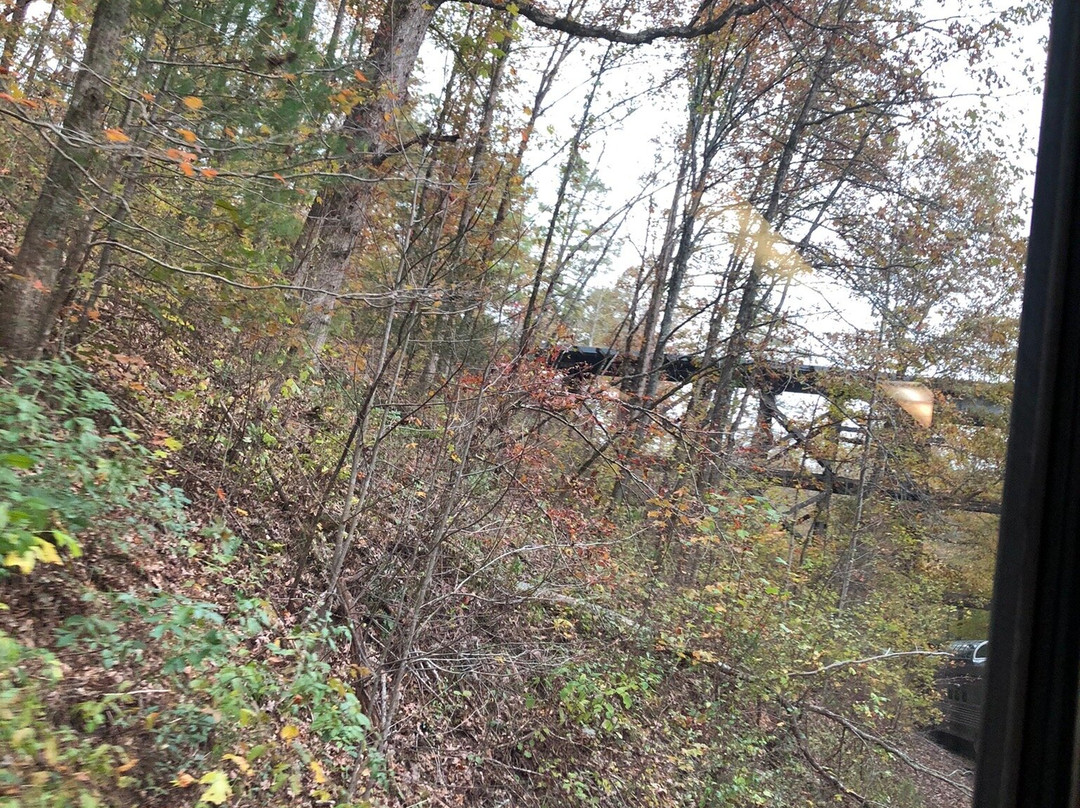 Tennessee Valley Railroad Museum-Etowah必去景点