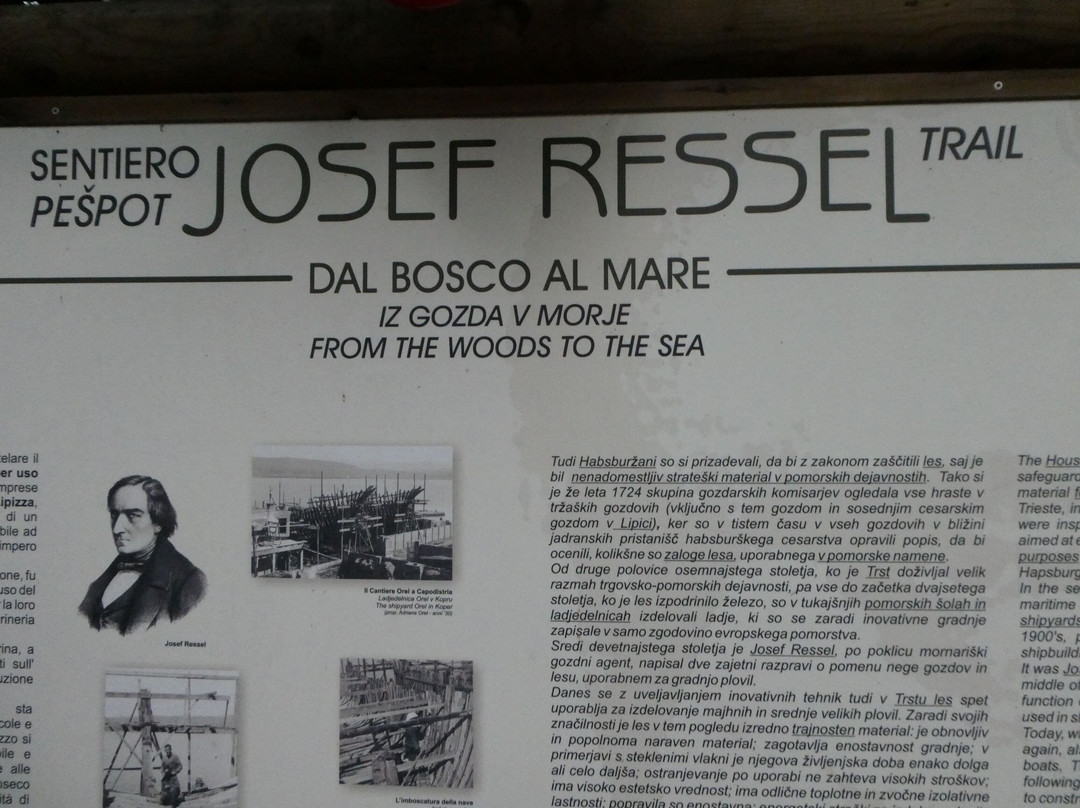 Sentiero Josef Ressel景点图片