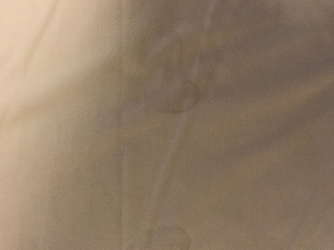 橡树酒店主图