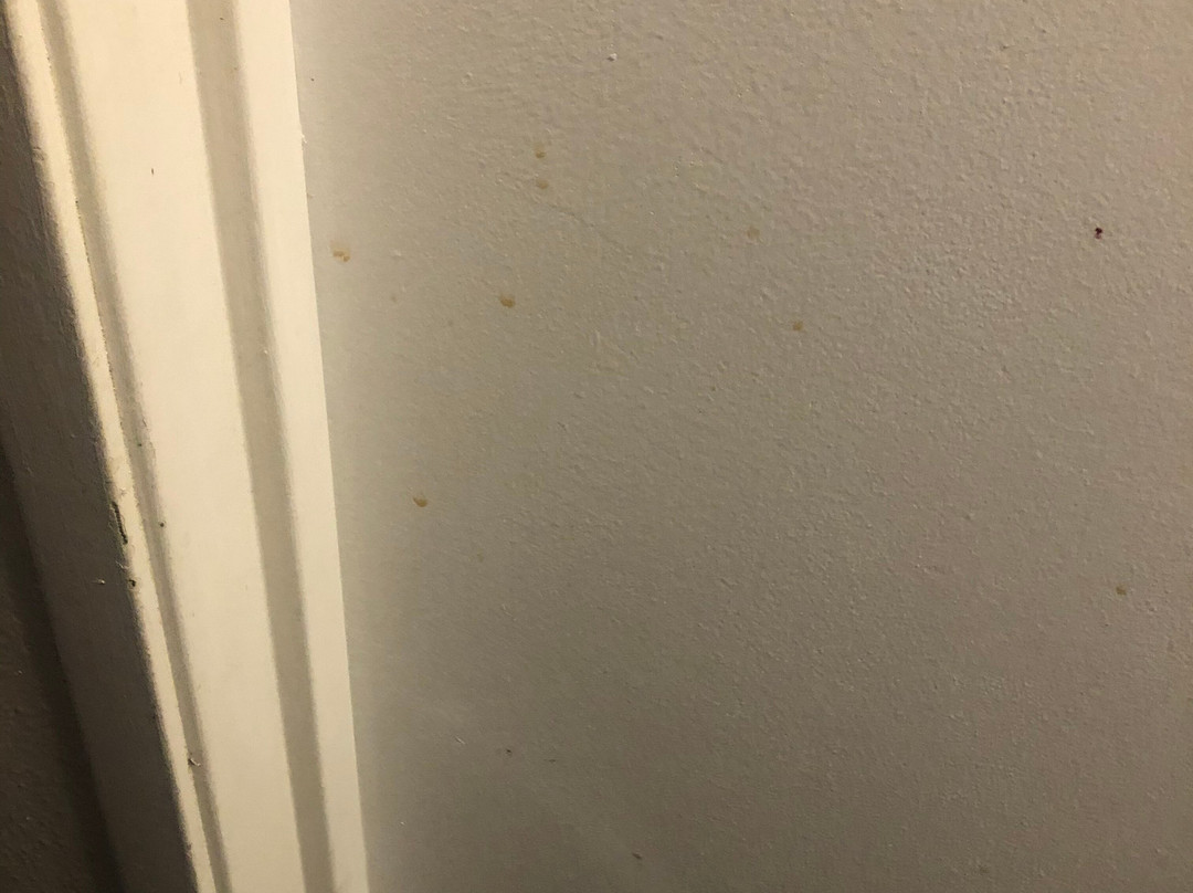 Days Inn by Wyndham Turlock主图