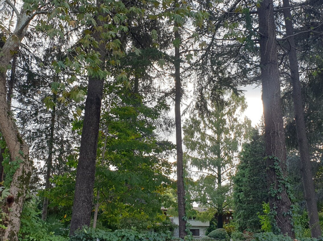 Karaca Ağaç Parkı-Yalova必去景点