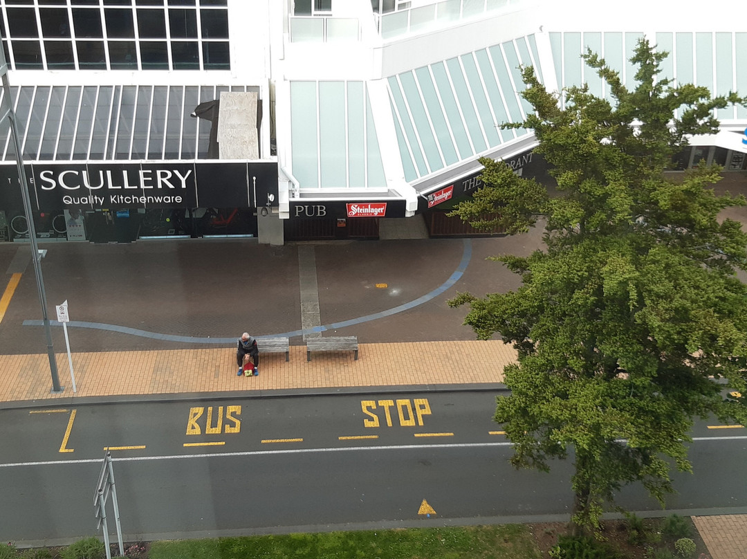 泰努伊汉密尔顿诺富特酒店主图