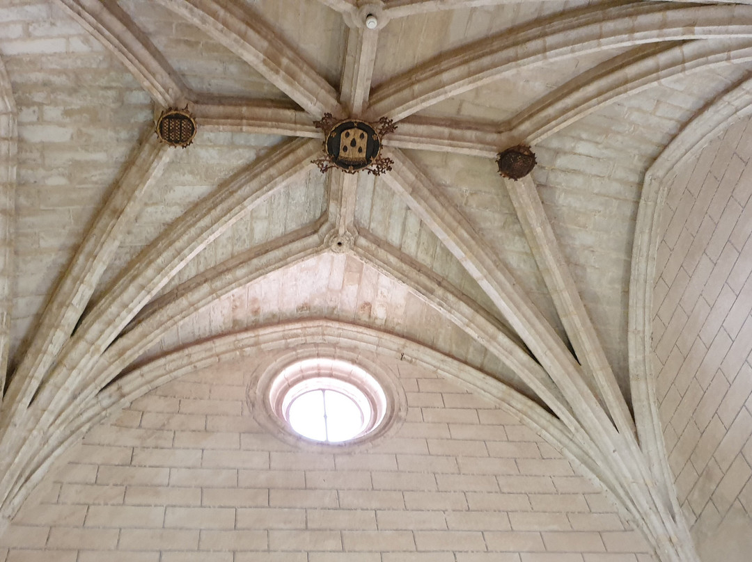 Monasterio de la Cartuja景点图片