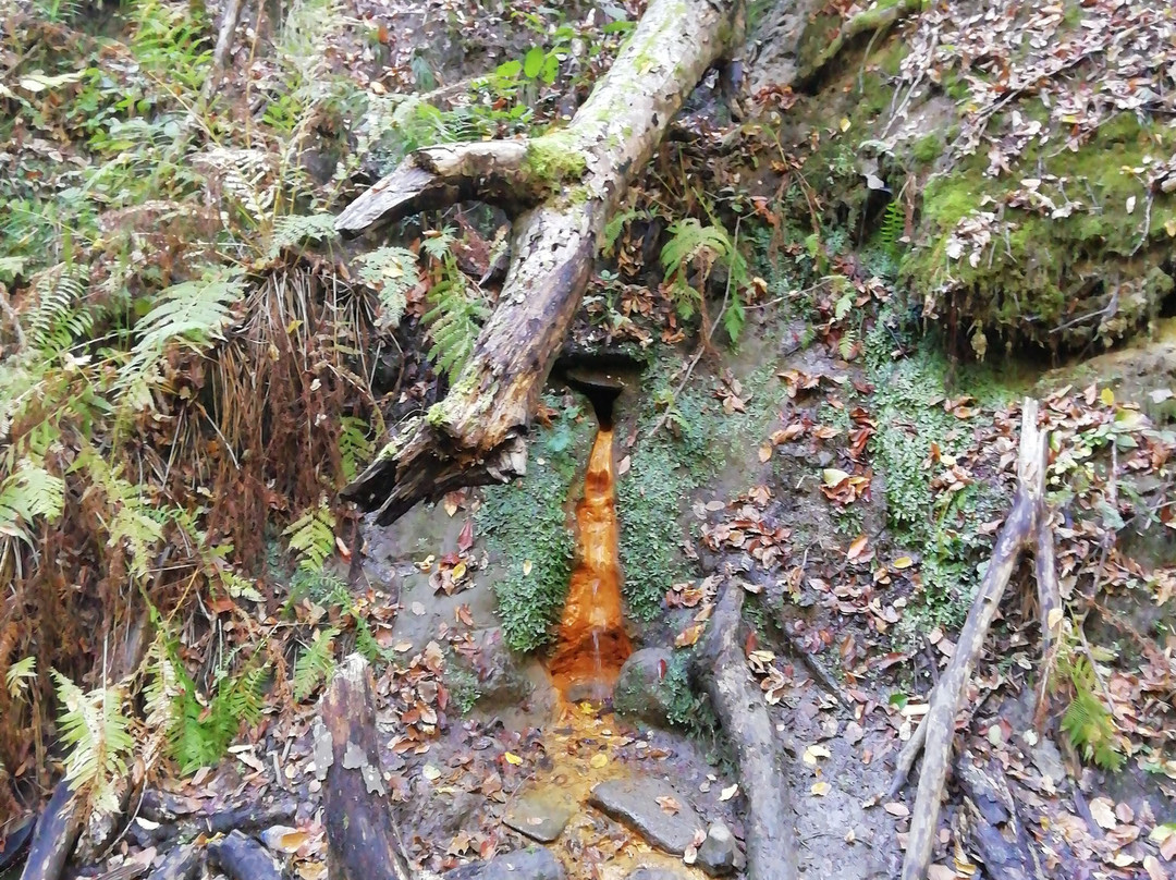 Zerkalo Rock-Goryachy Klyuch必去景点