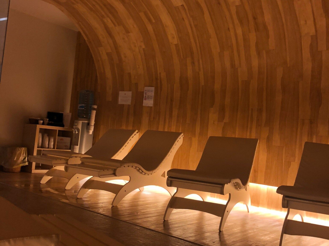 The Ziba Hotel & Spa主图