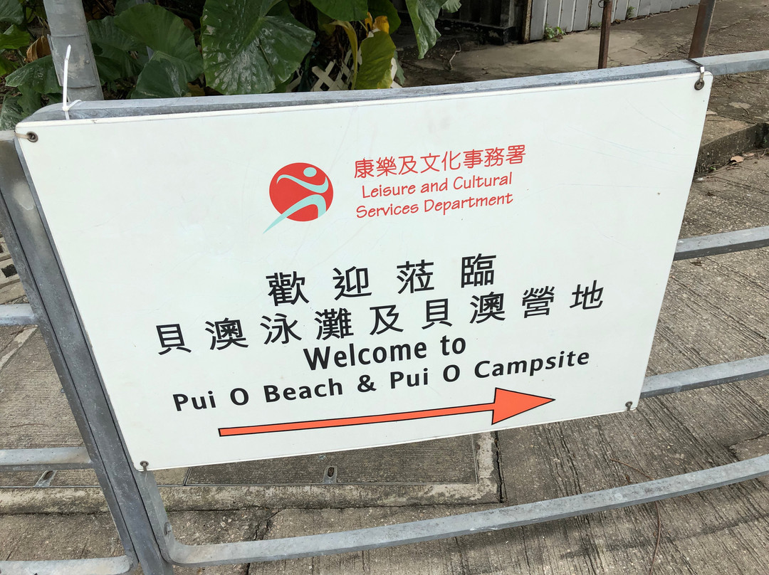 杯澳-香港必去景点