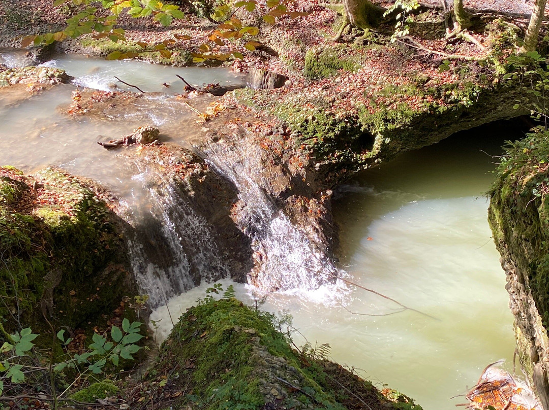 Scheidegger Wasserfälle景点图片