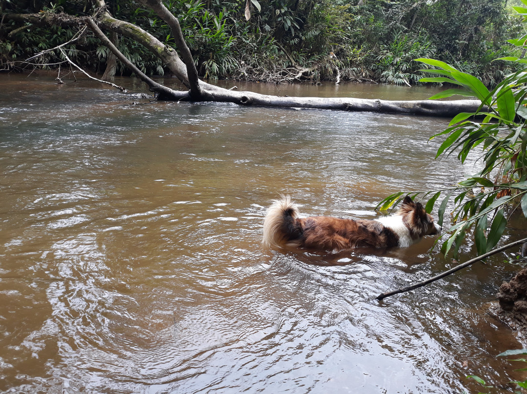 Pousada Arapassu主图