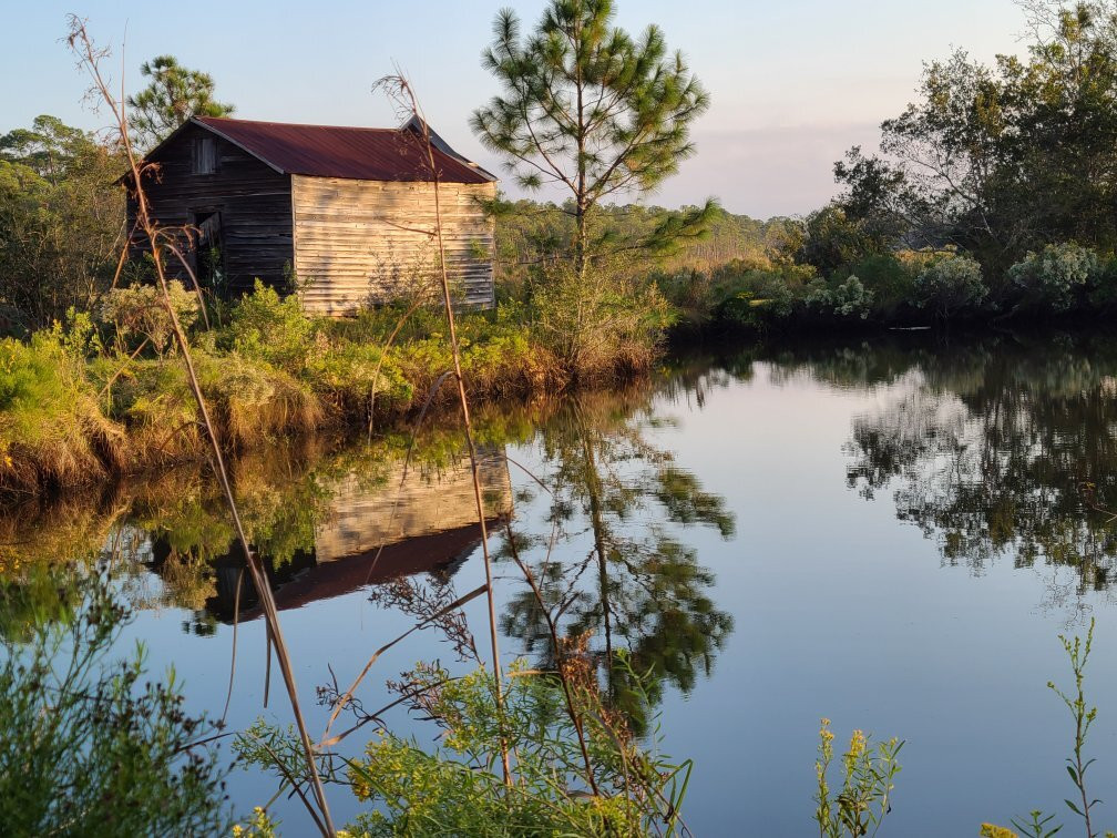 Swift- Coles Historic Home-Bon Secour必去景点