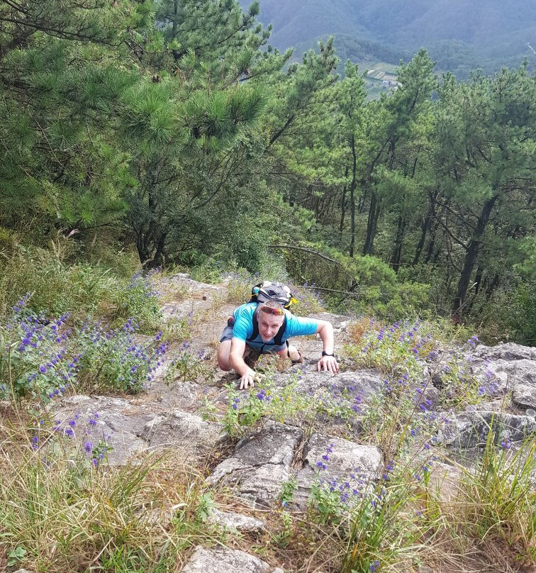 Daegeumsan-巨济市必去景点