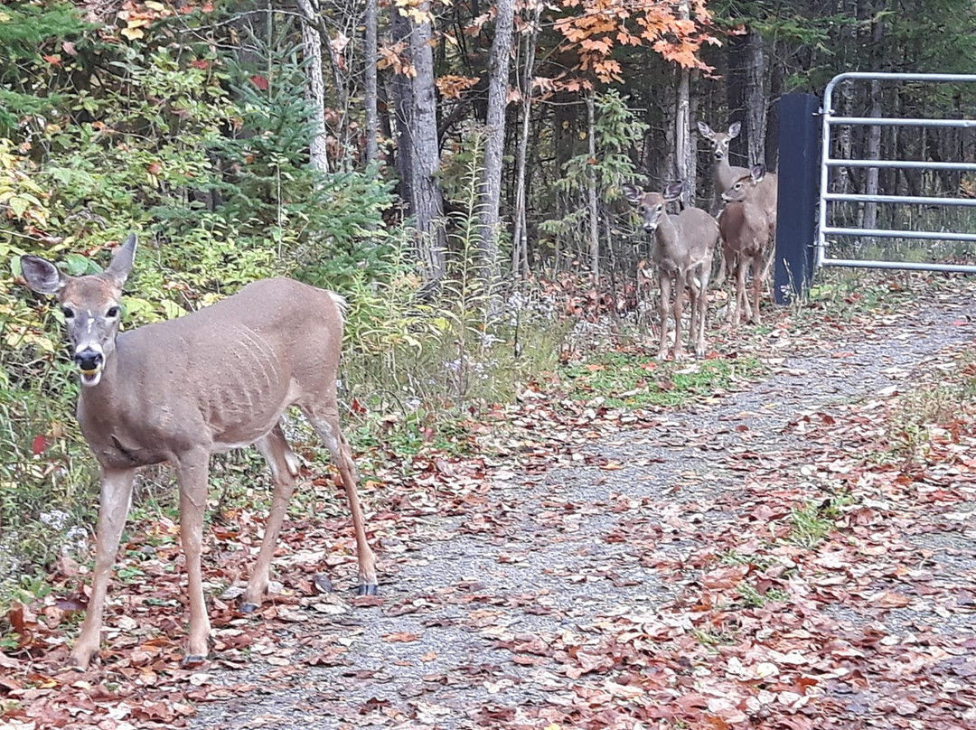 Belle De Nuit Wakefield Inn主图