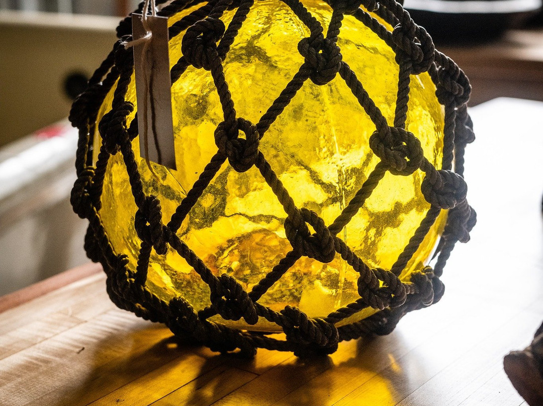 Tampa Bay Salvage-塔彭斯普林斯必去景点