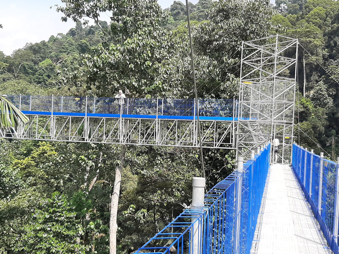 Forest SkyWalk - FRIM-吉隆坡必去景点