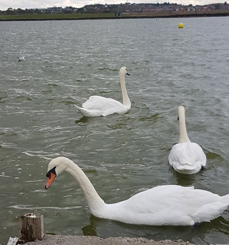 Barton's Point Coastal Park景点图片