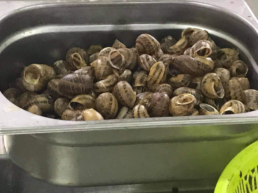Fereikos snails-科林斯必去景点