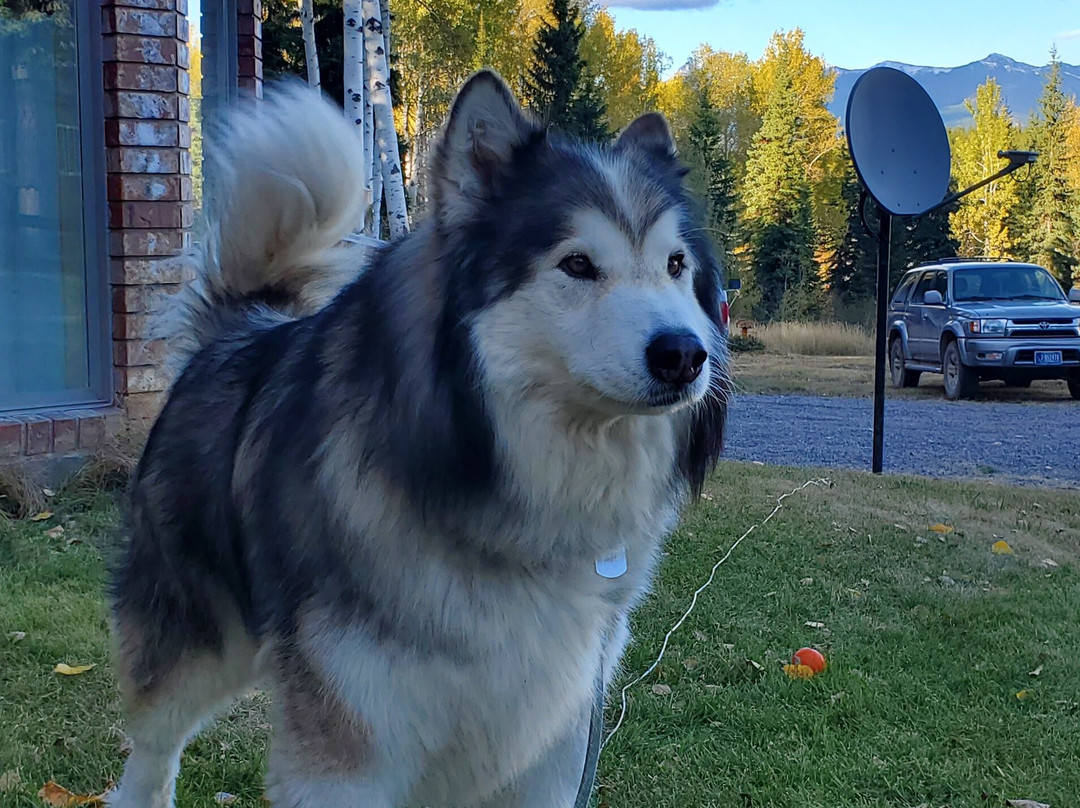 The Way Less Traveled Bed & Breakfast主图