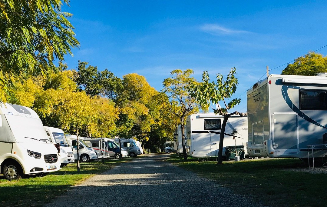 Amelia Camping