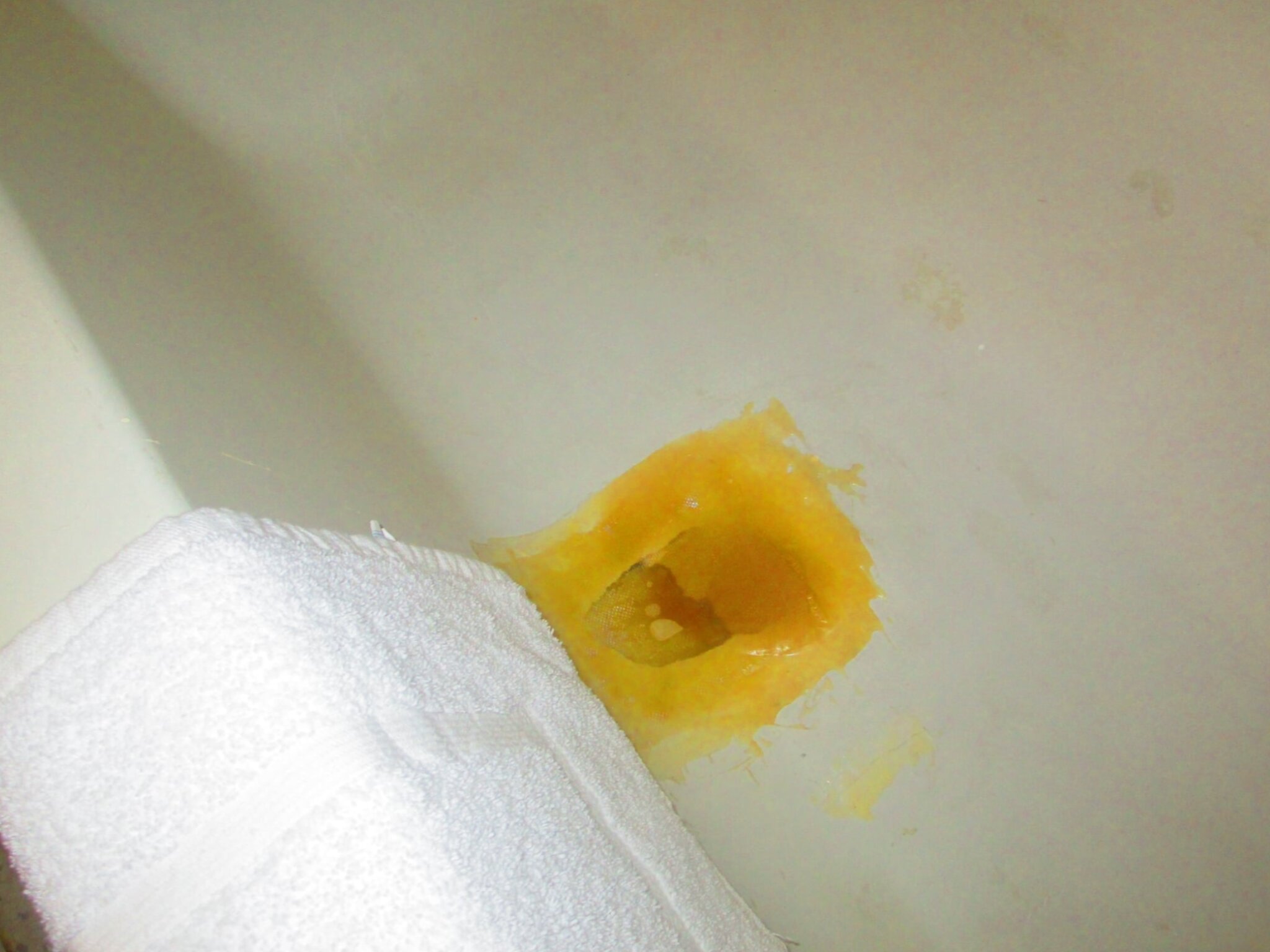 Americourt Hotel-浴室