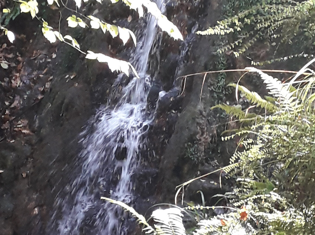Ninesprings Country Park-约维尔必去景点