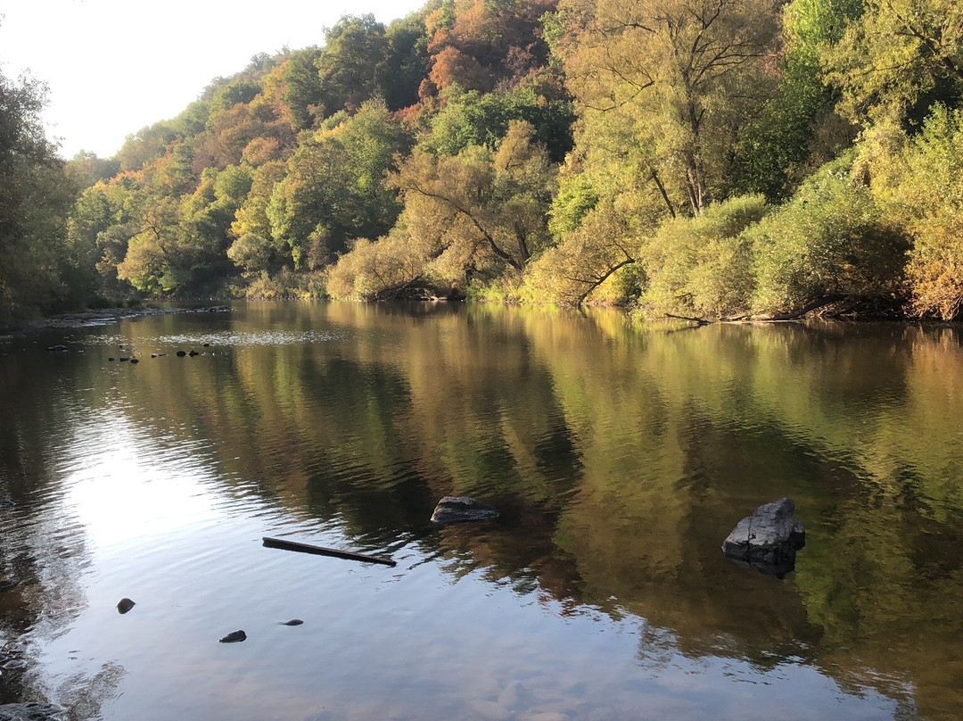 Landhotel Niederthaeler Hof主图