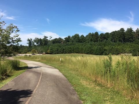 Peachtree Ridge Park-苏万尼必去景点