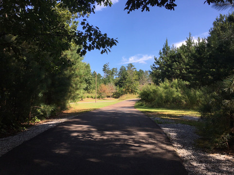 Peachtree Ridge Park-苏万尼必去景点