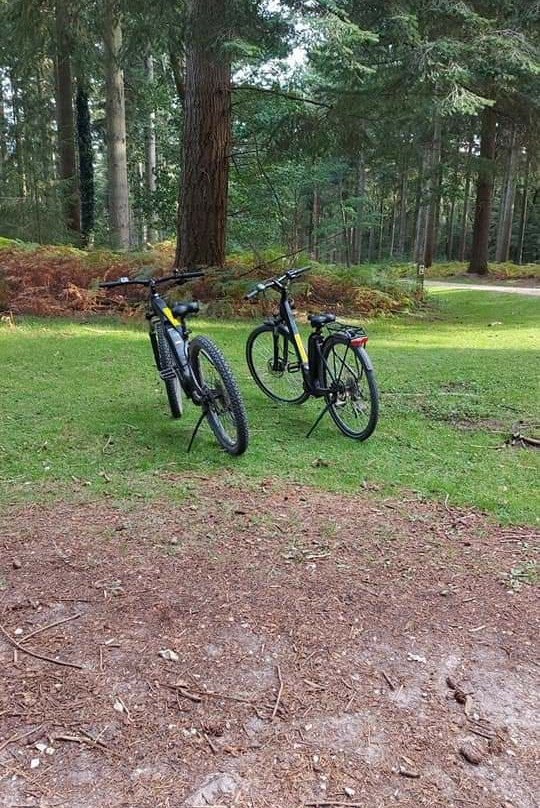 New Forest Cycling景点图片