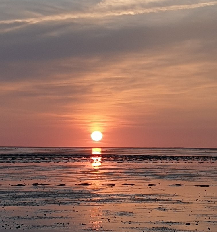 Wattwanderzentrum Ostfriesland-Harlesiel必去景点